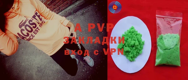 молекула духа Переславль-Залесский