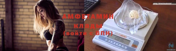 молекула духа Переславль-Залесский