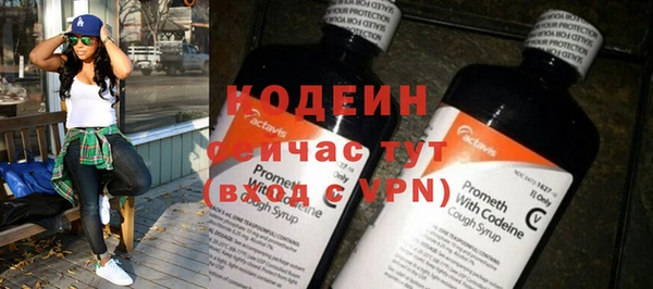молекула духа Переславль-Залесский