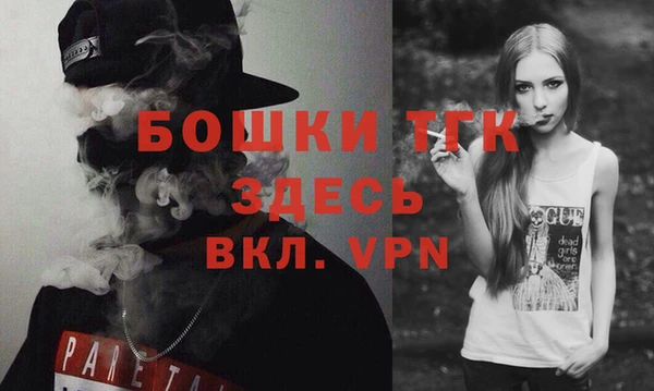 молекула духа Переславль-Залесский