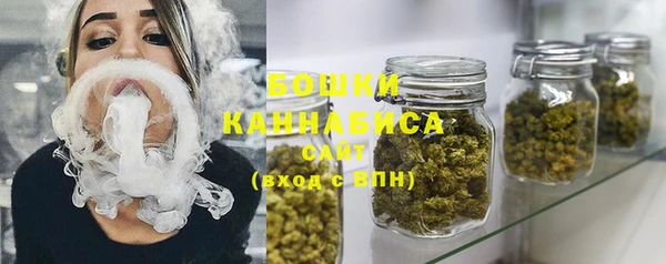 молекула духа Переславль-Залесский